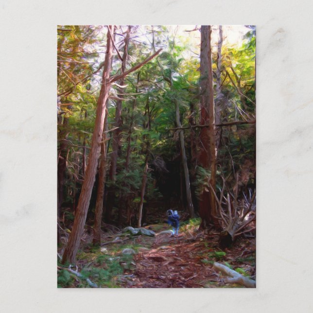 Black Sten Trails, Harriman State Park, New York Vykort (Framsida)