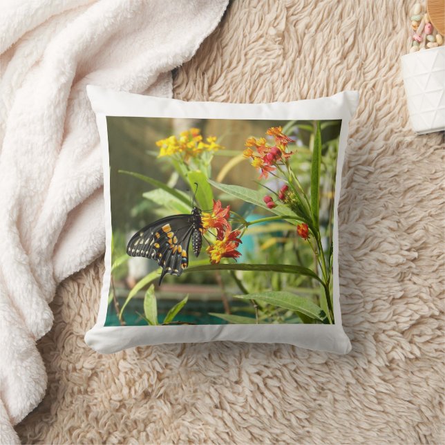 Black Svälj Butterfly #2 Kudde (Filt)