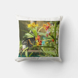 Black Svälj Butterfly #2 Kudde