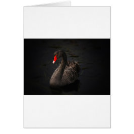 Black Svan Hälsningskort
