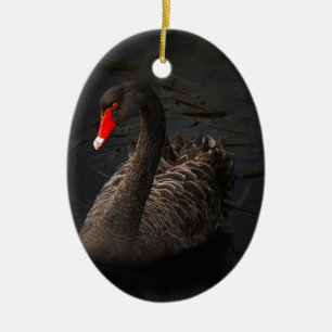 Black Svan Julgransprydnad Keramik