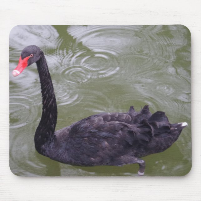 Black Svan Mousepad Musmatta (Framsidan)
