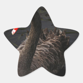 Black Svan Stjärnformat Klistermärke