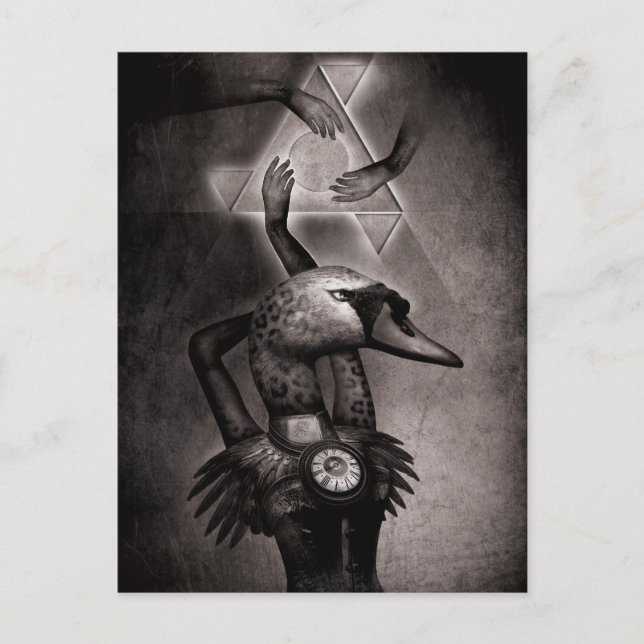 Black Svan Theory Vykort (Framsida)