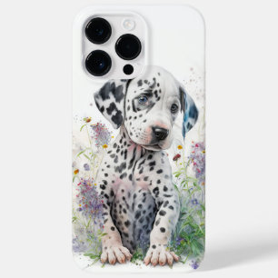 BLACK SVART VITVITDALMATION PUPPY