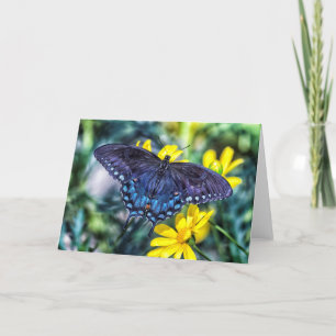 Black Swallowsvans på gula blommor Helgkort