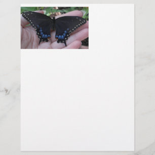 Black Swallowtail Butterfly #1-letterhead