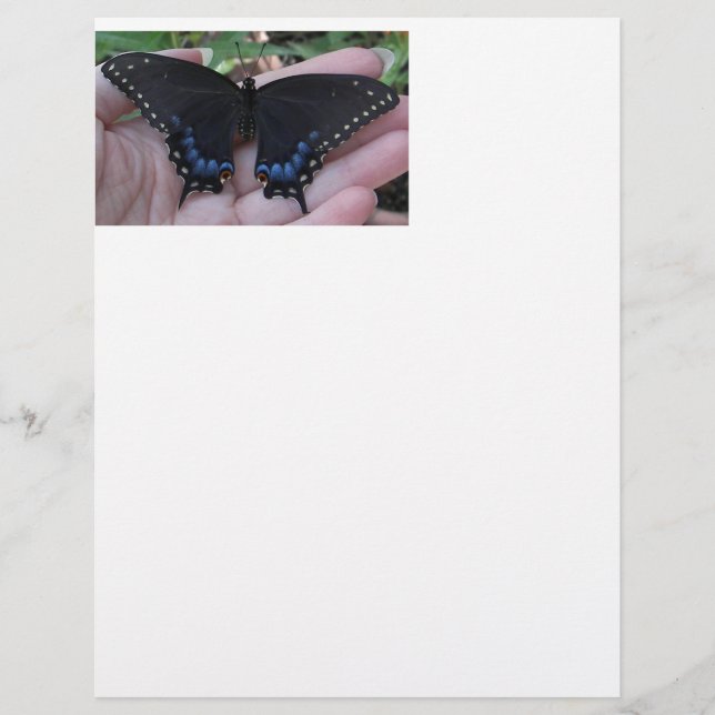 Black Swallowtail Butterfly #1-letterhead (Framsida)