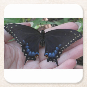 Black Swallowtail Butterfly #1 Underlägg Papper Kvadrat