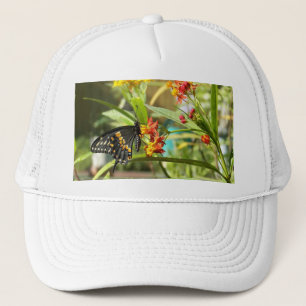 Black Swallowtail Butterfly #2 Keps
