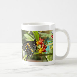 Black Swallowtail Butterfly#2-mugg Kaffemugg