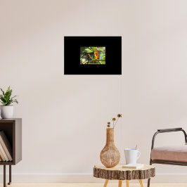 Black Swallowtail Butterfly #2 Poster