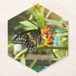 Black Swallowtail Butterfly #2 Underlägg Papper