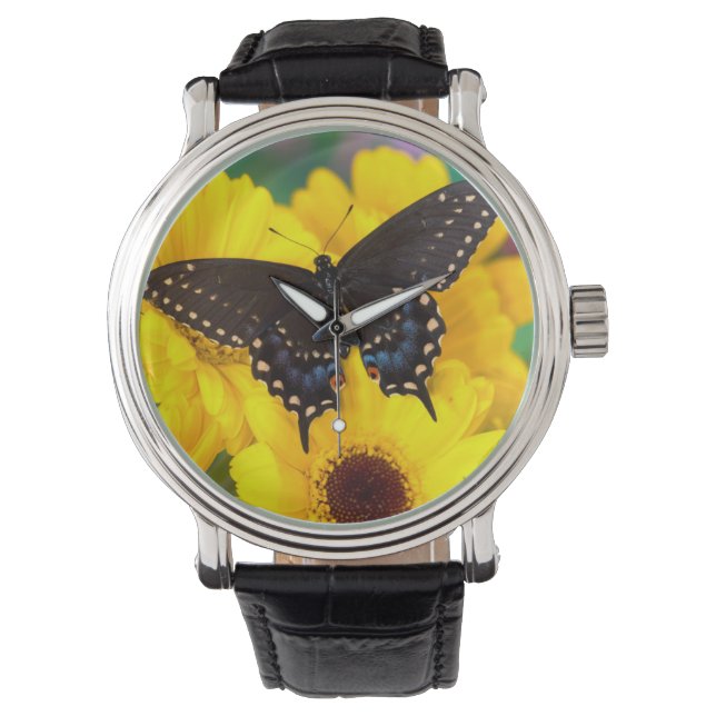 Black Swallowtail butterfly Armbandsur (Framsida)