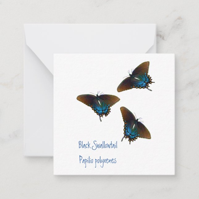 Black Swallowtail Butterfly art Anteckningskort (Framsida)