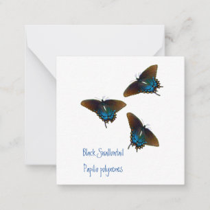 Black Swallowtail Butterfly art Anteckningskort