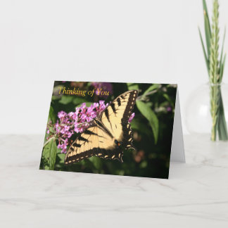 Black Swallowtail Butterfly Card Kort