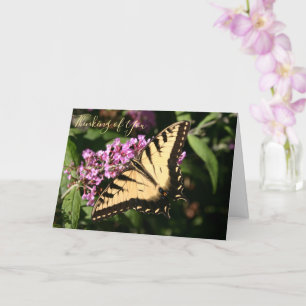 Black Swallowtail Butterfly Card Kort