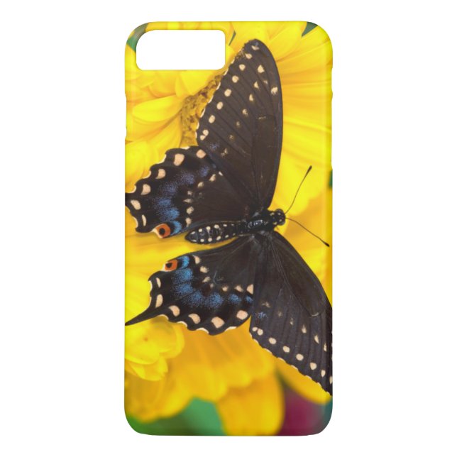 Black Swallowtail butterfly Case-Mate iPhone Skal (Baksida)