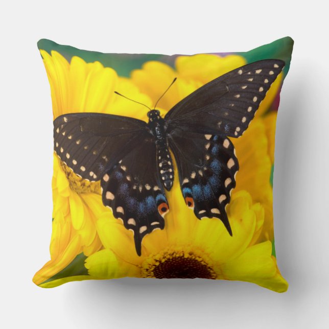 Black Swallowtail butterfly Kudde (Framsida)