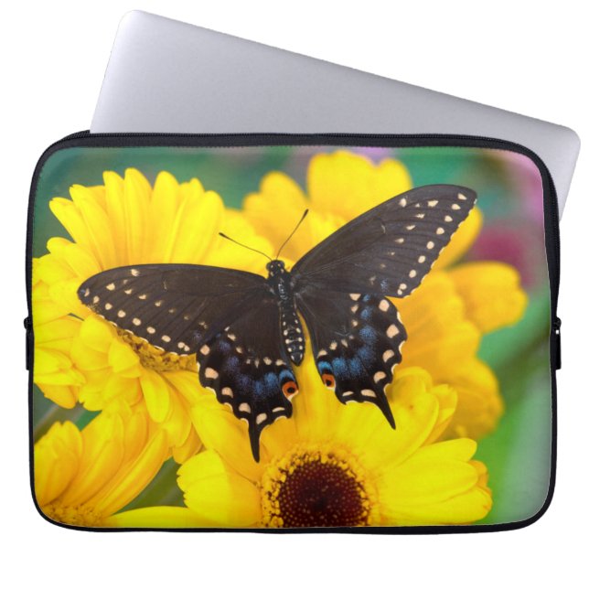 Black Swallowtail butterfly Laptop Fodral (Framsidan)