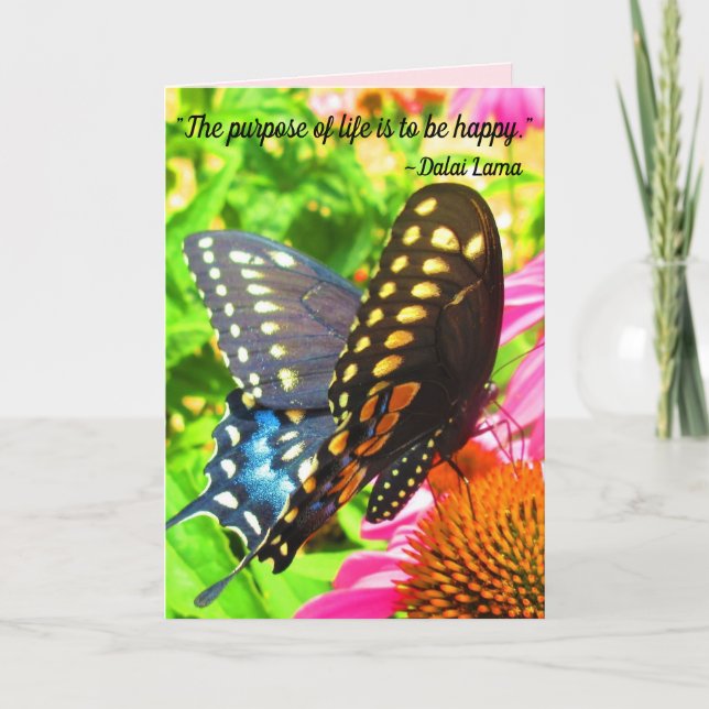 Black Swallowtail Butterfly Rosa Echinacea Flowers Kort (Framsida)