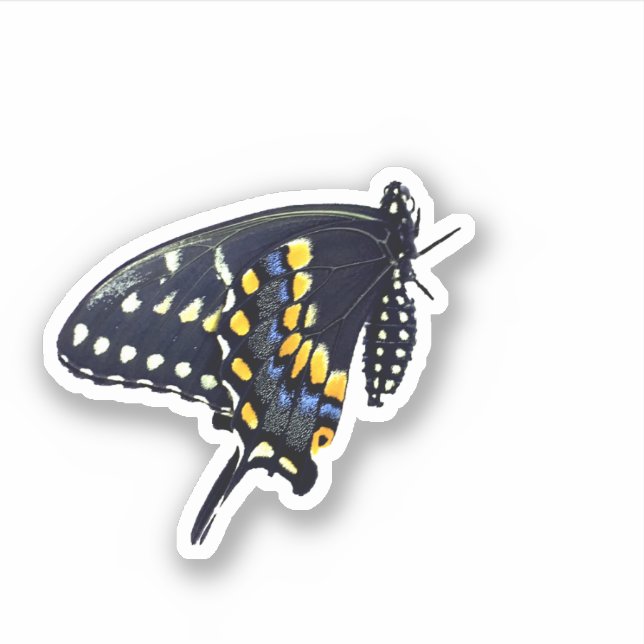 Black Swallowtail Butterfly Sticker Klistermärken (Framsida)