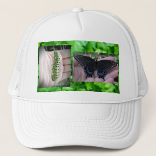Black Swallowtail Catercolumn/Butterfly Keps