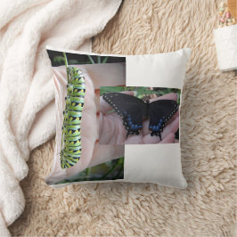 Black Swallowtail Catercolumn/Butterfly Kudde