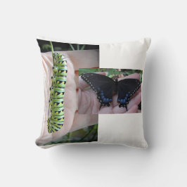 Black Swallowtail Catercolumn/Butterfly Kudde