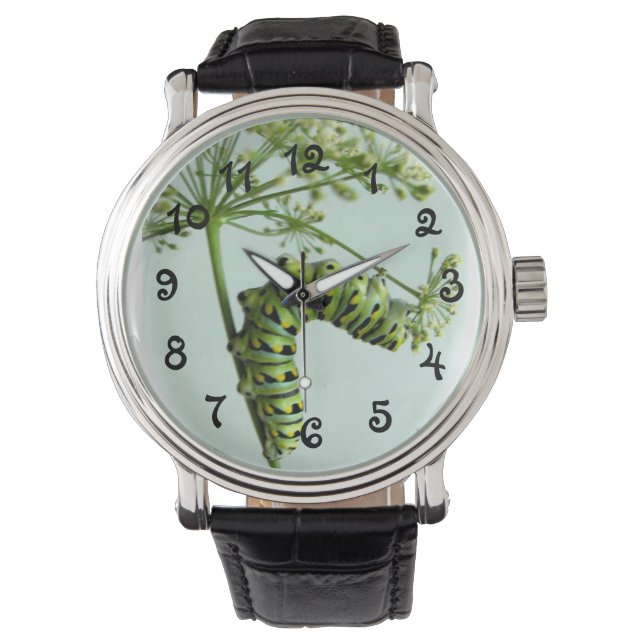 Black Swallowtail Caterdar som äter parsley watch Armbandsur (Framsida)