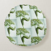 Black Swallowtail Caterpelare som äter persilja