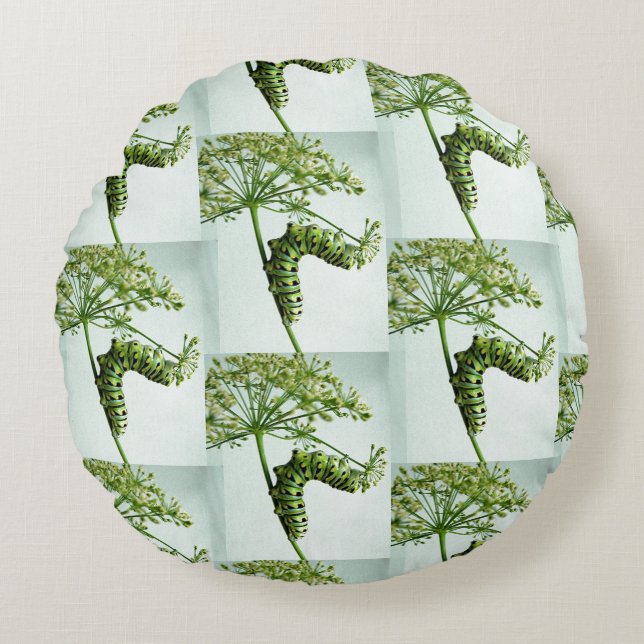 Black Swallowtail Caterpelare som äter persilja Rund Kudde (Framsidan)