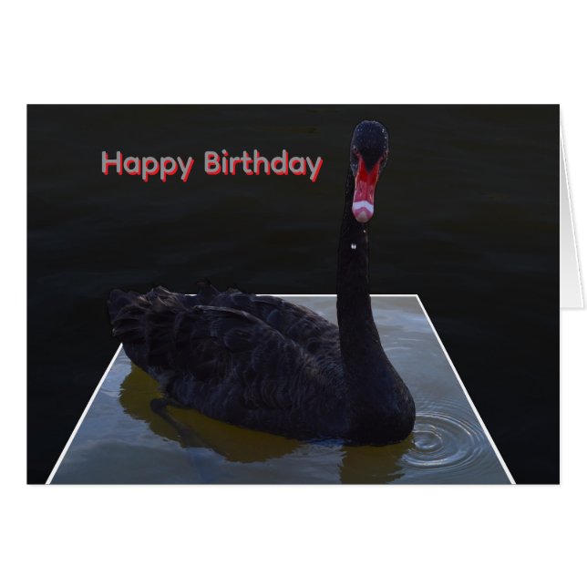 Black Swan Swimming In Dimensional Pond, Hälsningskort (Framsidan Horizontal)