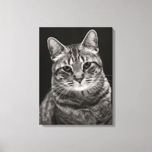 Black Tabby Kitten Canvastryck