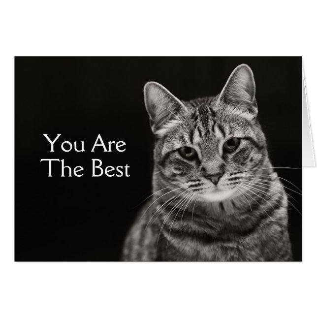 Black Tabby Kitten Hälsningskort (Framsidan Horizontal)