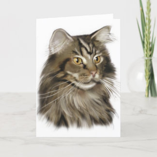 Black Tabby Maine Coon Cat Kort
