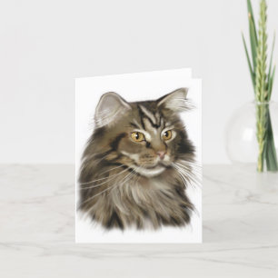 Black Tabby Maine Coon Cat Kort