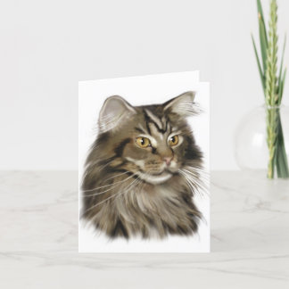 Black Tabby Maine Coon Cat Kort