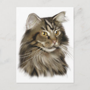 Black Tabby Maine Coon Cat Vykort