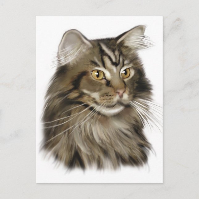 Black Tabby Maine Coon Cat Vykort (Framsida)