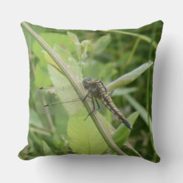 Black-tailed Skimmer Throw Pillow Kudde