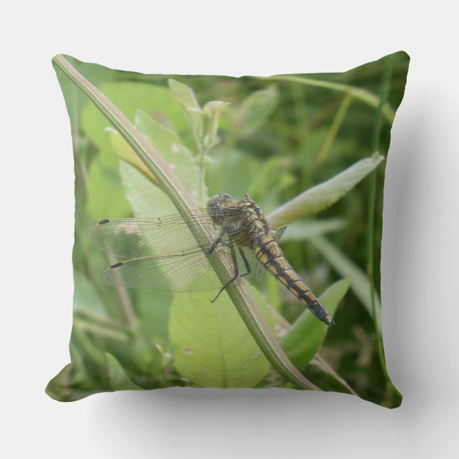 Black-tailed Skimmer Throw Pillow Kudde (Framsida)