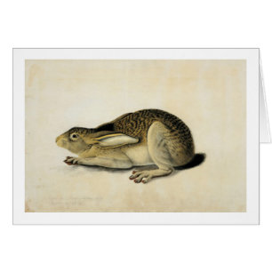 Black-Tails Hare, John James Audubon Hälsningskort