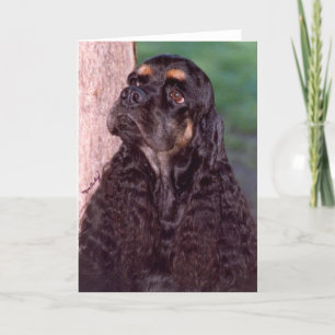 Black & tan Champion Cocker Spanska hälsningskort Kort