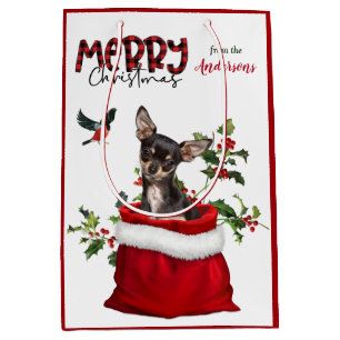 Black Tan Chihuahua, Hund jul