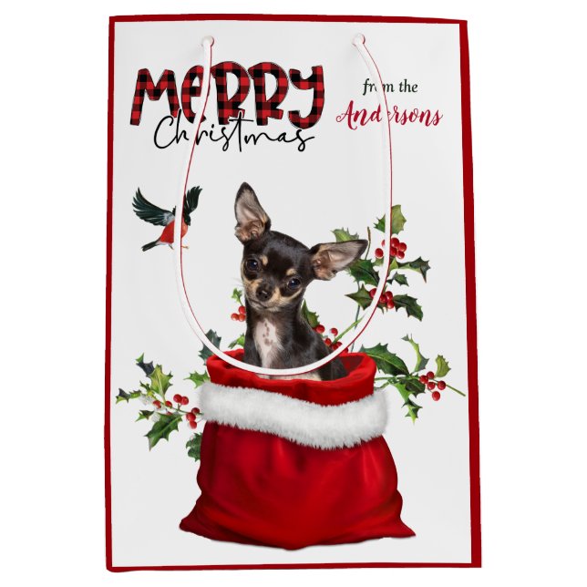 Black Tan Chihuahua, Hund jul (Framsidan)