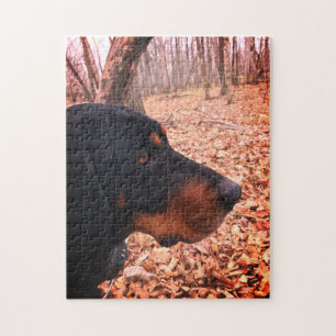 Black & Tan Coonhound Pussel