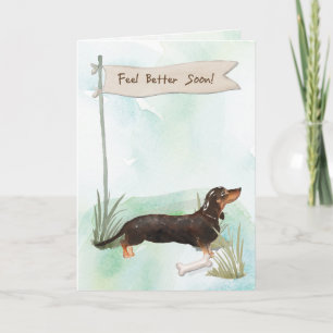 Black & Tan Dachshund känner bättre kirurgi i Hund Kort