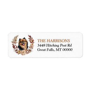 Black Tan Pomeranian Hund Autumn Wandeans Returadress Etikett